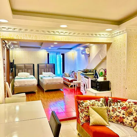 公寓式酒店 Hagia Sophia Liffe Apartmentd 伊斯坦布尔